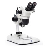 Estereomicroscopio binocular Nexius Zoom NZ-1902-P. Columna