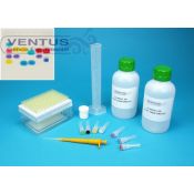 Kit electroforesi en gel d'agarosa I V-44541