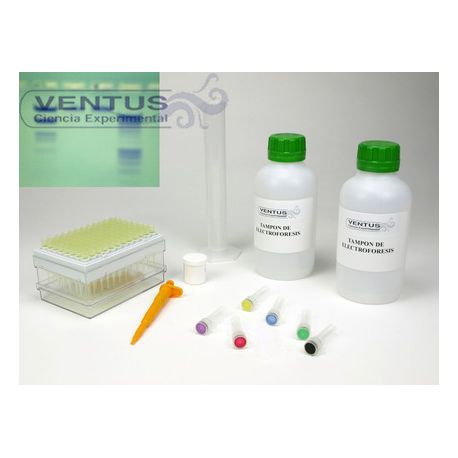 Kit electroforesi en gel d'agarosa II V-44543