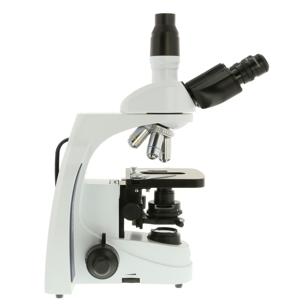 Microscopi contrast fases Iscope IS-1153-PLPH. Triocular 100x-1000x