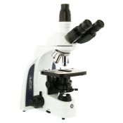 Microscopi contrast fases Iscope IS-1153-PLPHi. Triocular 100x-1000x