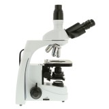 Microscopio contraste fases Iscope IS-1153-PLPHi. Triocular 100x-1000x