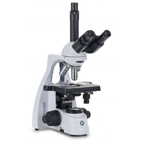 Microscopio contraste fases Bscope BS-1153-PLPHi. Triocular 100x-1000x