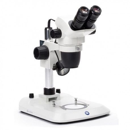 Estereomicroscopi binocular Nexius-Evo NZ-1702-P. Columna 6'5x-55x