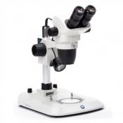 Estereomicroscopio binocular Nexius-Evo NZ-1702-9. Columna 6'5x...55x