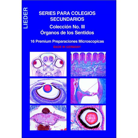 Preparacions microscòpiques L-4450 (16p). Òrgans dels sentits