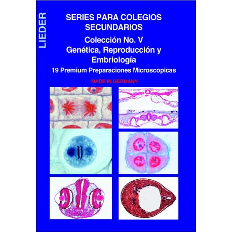 Preparacions microscòpiques L-4480 (19p). Genètica-Reproducció