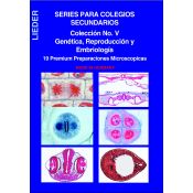 Preparacions microscòpiques L-4480 (19p). Genètica-Reproducció