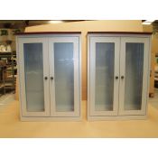 Armari laboratori portes metacrilat batents. Mides 1010x420x1980 mm