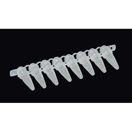 PP plastic PCR microtubes conical bottom 0.2 ml. Bag of 100 strips 12 units