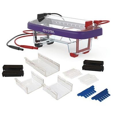 Equip base pràctiques electroforesi V-44521. Cubeta i font