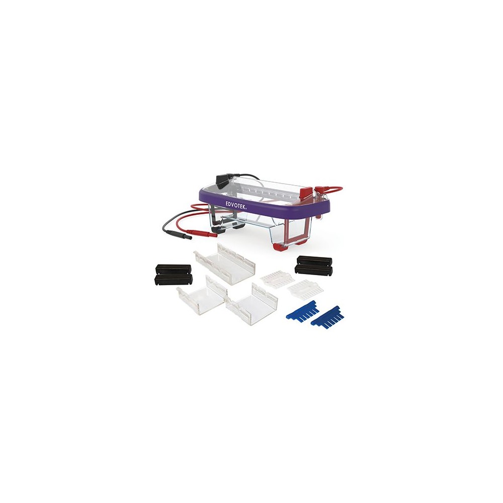 Equipo base prácticas electroforesi V-44521. Cubeta y fuente