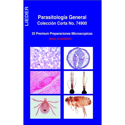 Preparacions microscòpiques L-4480 (19p). Genètica-Reproducció