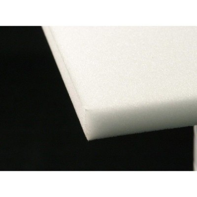 Plancha disección espuma. Medidas 275x165 mm