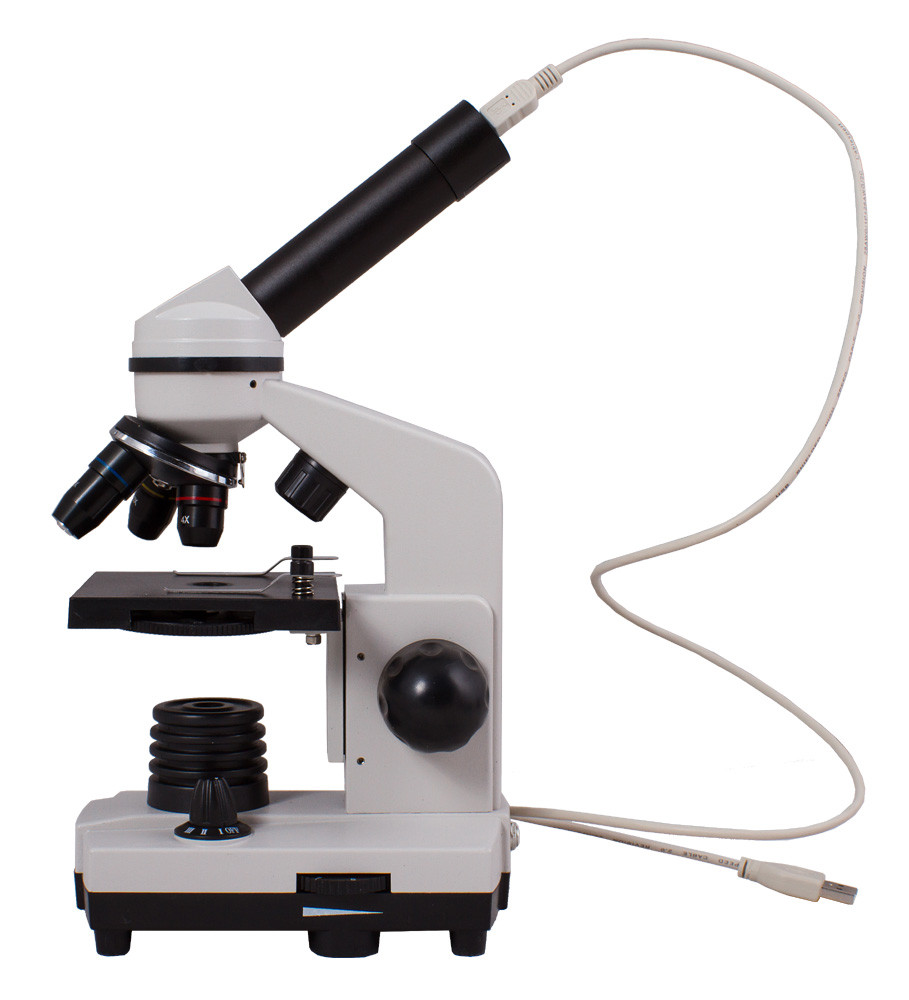 Portaobjetos con muestras para Microscopio · Física y Experimentos