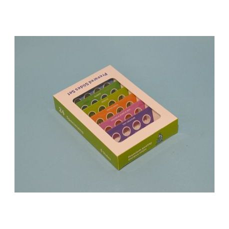 Microscopic preparations QGR-011-24. basic biology