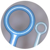 Nanses sembra calibrades plàstic PP estèrils 10 ul. Capsa 100x10 u