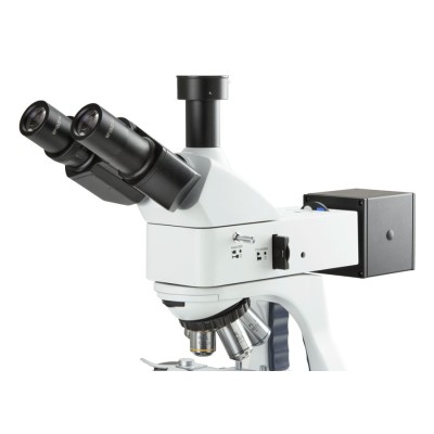 Microscopi contrast fases Bscope BS-1153-PPLPHi. Triocular 100x-1000x