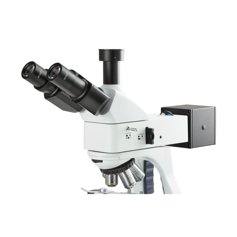 Microscopio contraste fases Bscope BS-1153-PLPHi. Triocular 100x-1000x