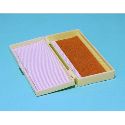 Caja guardar portaobjetos plástico BPG-010. Capacidad 50 piezas