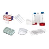 Cell culture