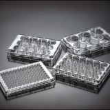 Placas para cultivo celular