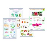 Biology murals
