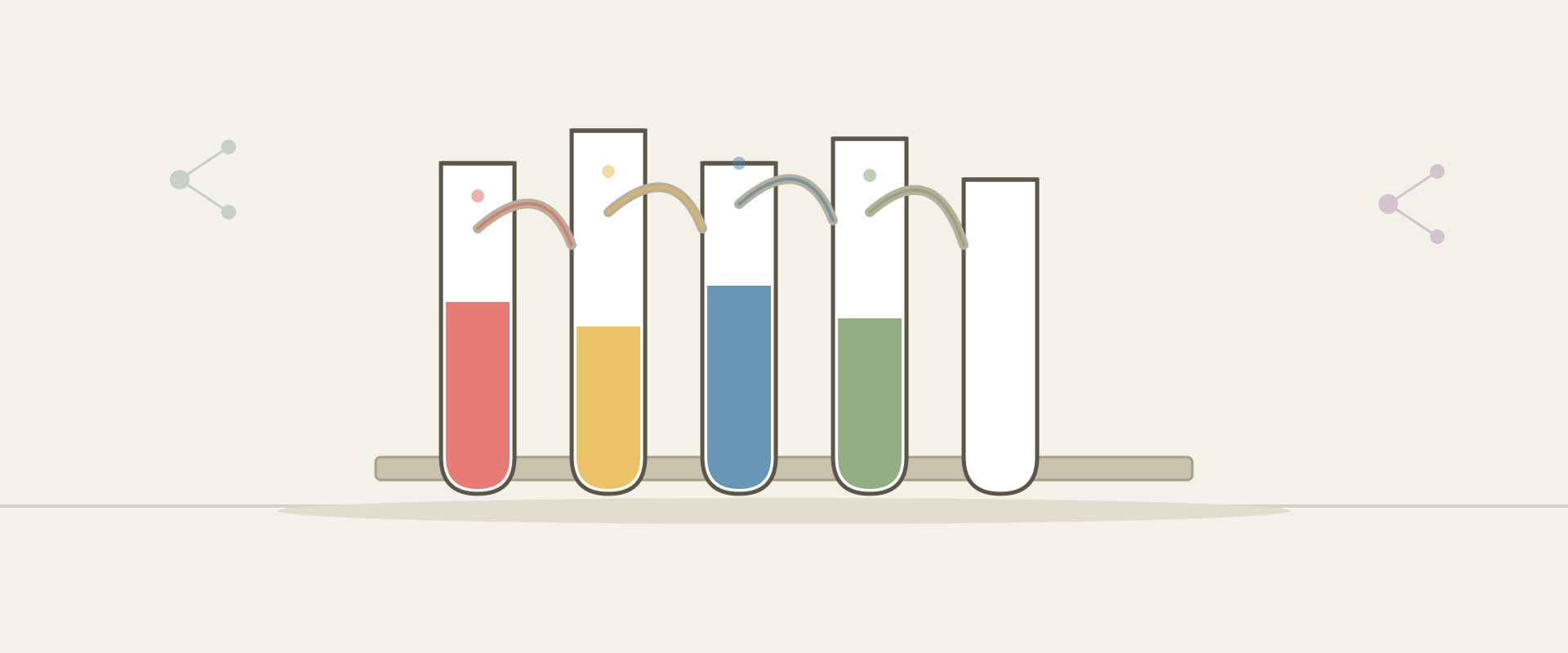 L'experiment de la capil·laritat amb tubs d'assaig i colorants alimentaris